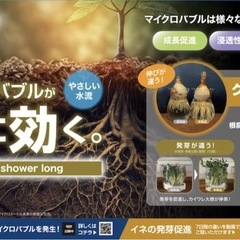 マイクロバブルアクアシャワーロング　園芸　植物　アガベ　塊根植物　ビカクシダ　熱帯魚　水槽
の画像