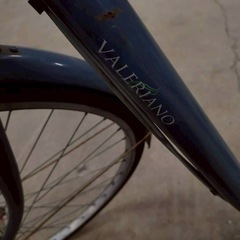 VALERIANO 自転車　変速付きの画像
