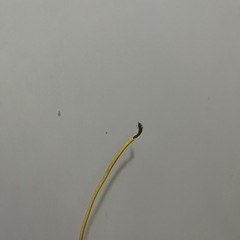 洗濯機　ジャンクの画像