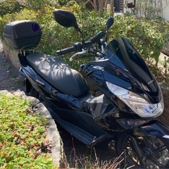 美品 PCX125 型式JF56
の画像