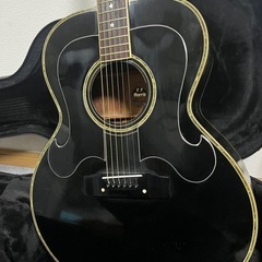 Morris アコースティックギターの画像