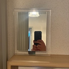 ミラー、ガラス金魚鉢の画像