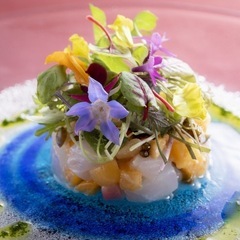 2026年新規＊写真販売メンバー募集します。の画像