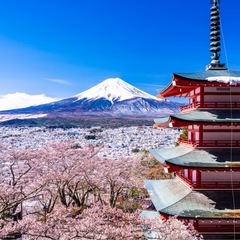 2026年新規＊写真販売メンバー募集します。の画像