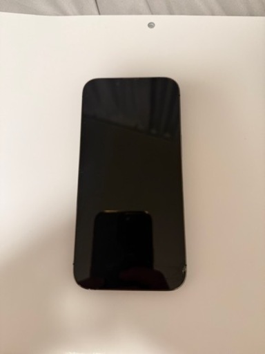iPhone13pro 256GB