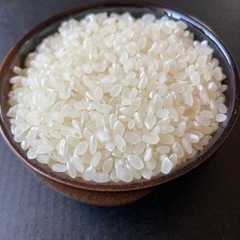 🌾日本の主食米
あります　750円/kgの画像