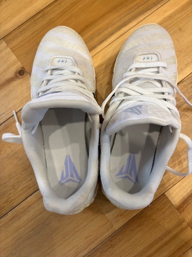 Nike JA3 24.5cm