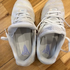 Nike JA3 24.5cmの画像