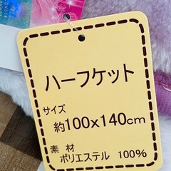 ラプンツェル　ミニ毛布　未使用の画像