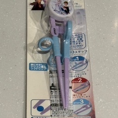 アナ雪　トレーニングはしの画像