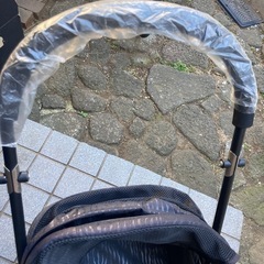 犬バギーの画像