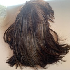 AQUADOLL WIGチュラルブラウンの画像