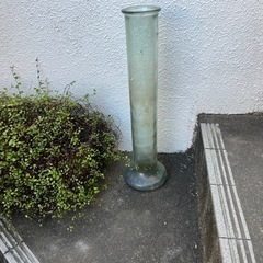 ガラスの花瓶の画像