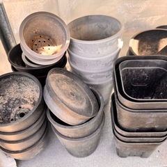 プラスチック　鉢　ガーデニングの画像