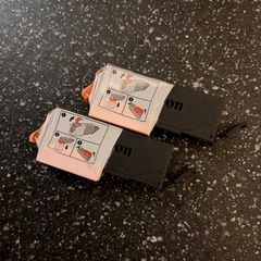 303 : Canonプリンター ＊ 純正インクカートリッジ  381 GY2本の画像