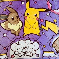 ポケモンブランケットの画像