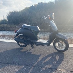 ホンダ　トゥデイの画像