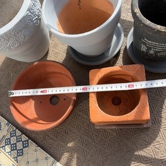 鉢の画像
