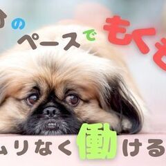 【日勤専属の検査×データ入力】にぎやかな職場が苦手な人へ。コツコツ型が評価される／静かな環境のチェック作業の画像