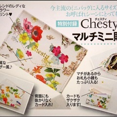 chestyマルチミニ財布  の画像