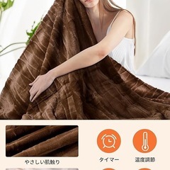 電気毛布 防寒 高級フランネル両面仕様 温度調節 掛け敷き188×130cm 寒波の画像