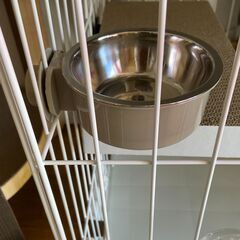 猫のペットシート他お譲りしますの画像