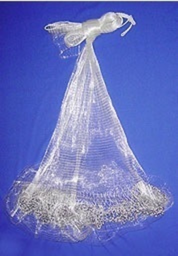 ワカサギ、稚鮎用投網