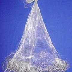 ワカサギ、稚鮎用投網の画像