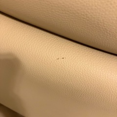 ニトリ2人がけソファ　コウテイシリーズNシールドの画像