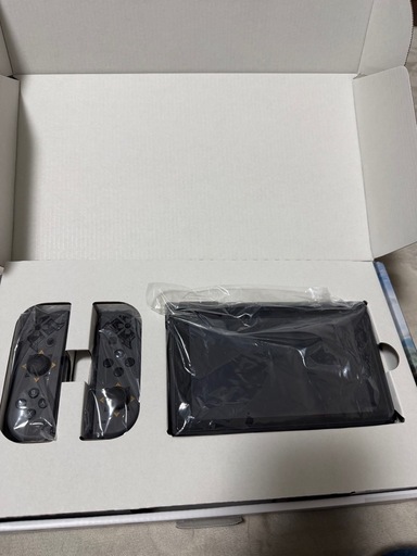 Nintendo Switch モンスターハンターライズ スペシャルエディション 本体一式 箱あり
