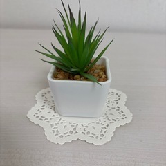 丸レースペーパー10枚　の画像