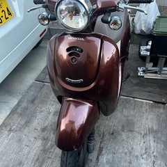 ジョルノ ホンダAF70 50ccの画像