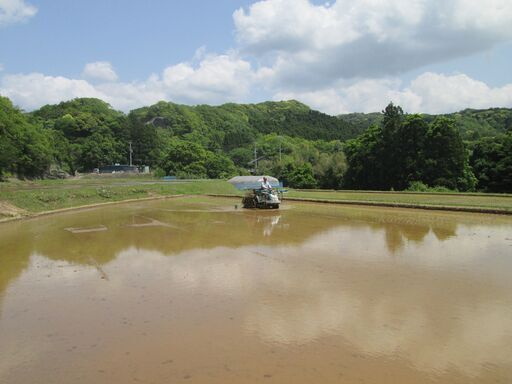 (受付終了)令和7年産コシヒカリ玄米30㎏1袋（令和7年12月20日籾摺り分　7袋限定）18000円