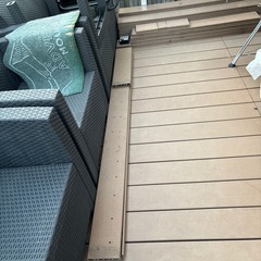 カインズ人口木15位の画像