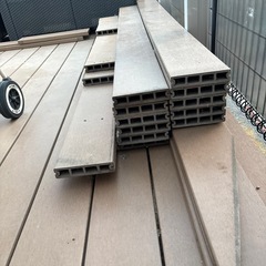 カインズ人口木15位の画像