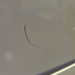 【2024年製】Haier2ドア冷蔵庫の画像