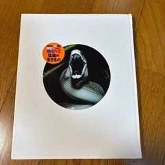 猛毒の生きもの
の画像