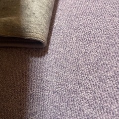 カーペット　8畳　　ラベンダー　系の画像