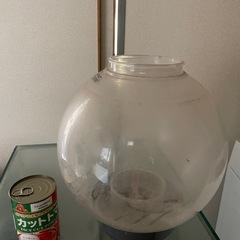 円形水槽　アクアリウムの画像