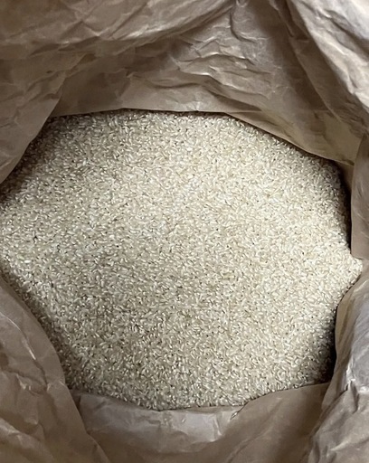 令和6年産　にこまる　10kg　　玄米