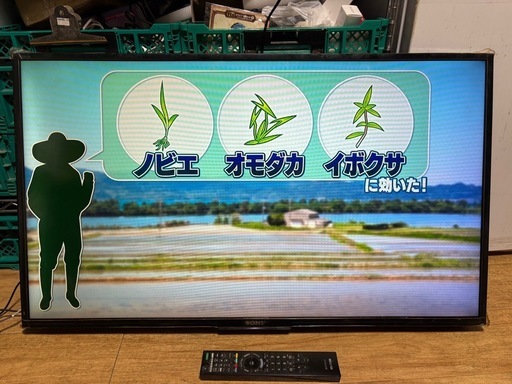 SONY ソニー  KJ-40W700 40型 液晶テレビ 2015年製 訳アリ