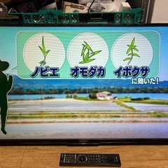 SONY ソニー  KJ-40W700 40型 液晶テレビ 2015年製 訳アリの画像