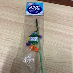 猫じゃらしの画像