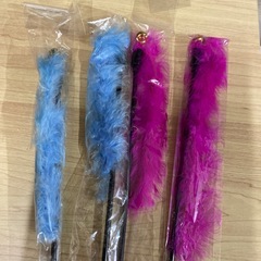 猫じゃらしの画像