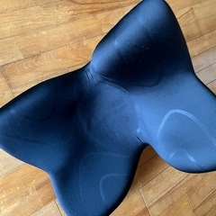 姿勢 サポートチェア MTG スタイルプレミアム Style PREMIUM の画像