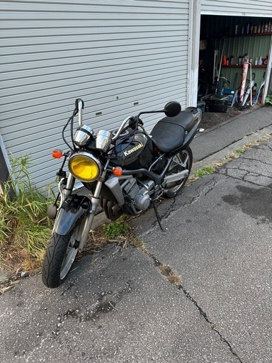 バリオス　250
