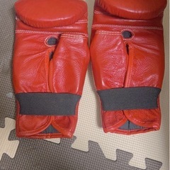 グローブの画像