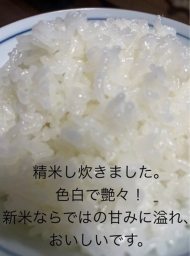 《完売御礼》 2025年「にこまる米」玄米30 kg 色彩選別済み