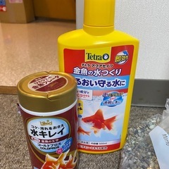 水槽ともろもろの画像