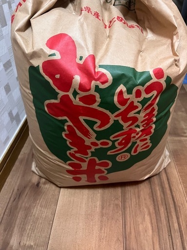 新米　お米　10キロ　 